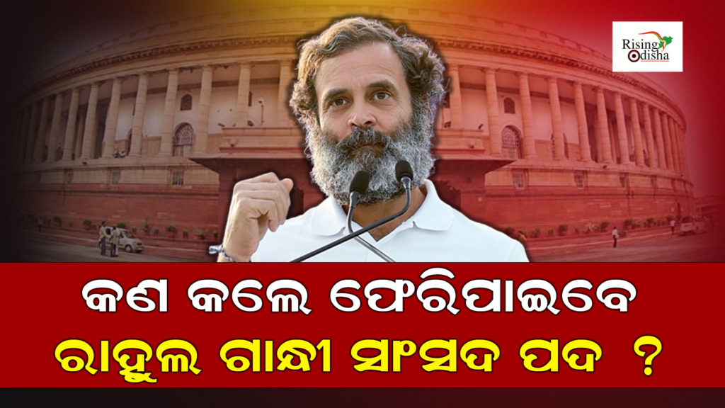rahul gandhi news today, indian national congress, rahul gandhi mp news today, odia blog, rising odisha