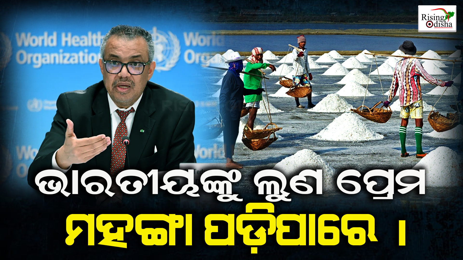 indian salt factory, salt effect on body, world health organization,odia blog, rising odisha